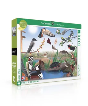 Spring Trail 1000pc