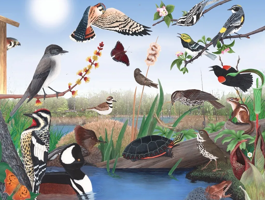 Spring Trail 1000pc